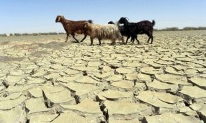 afghan climate change