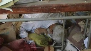 education violence 2